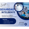 SEGURIDAD INTELIGENTE